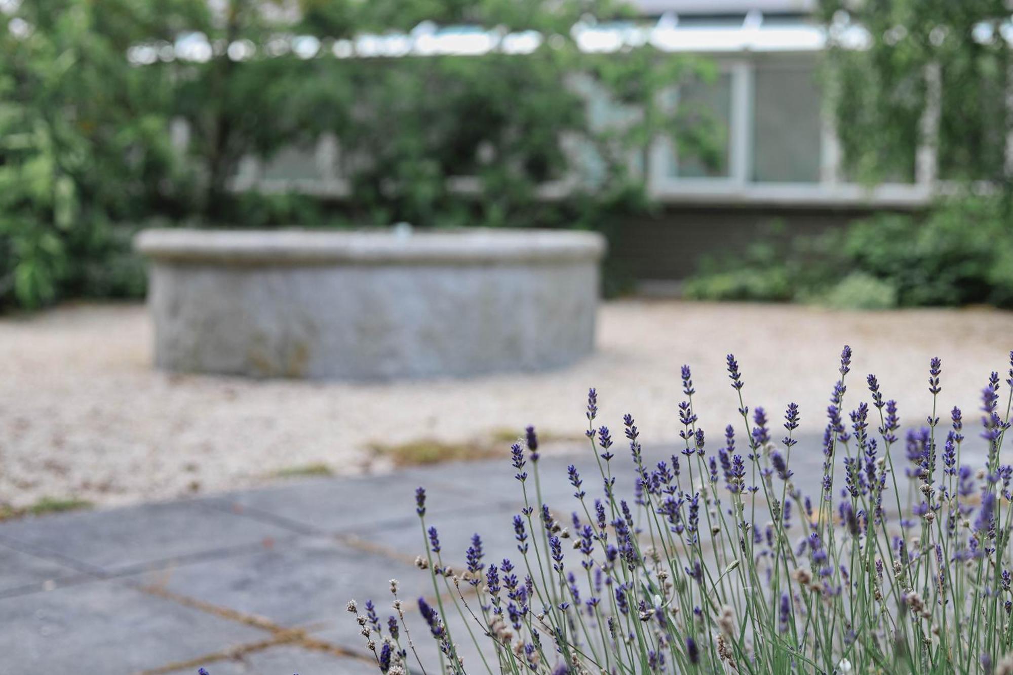Powerscourt Springs Health Farm Wicklow Exterior foto