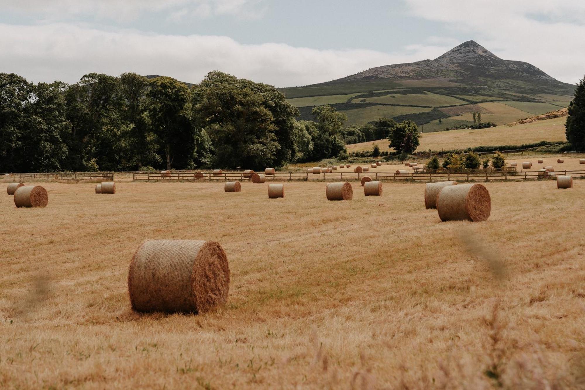 Powerscourt Springs Health Farm Wicklow Exterior foto