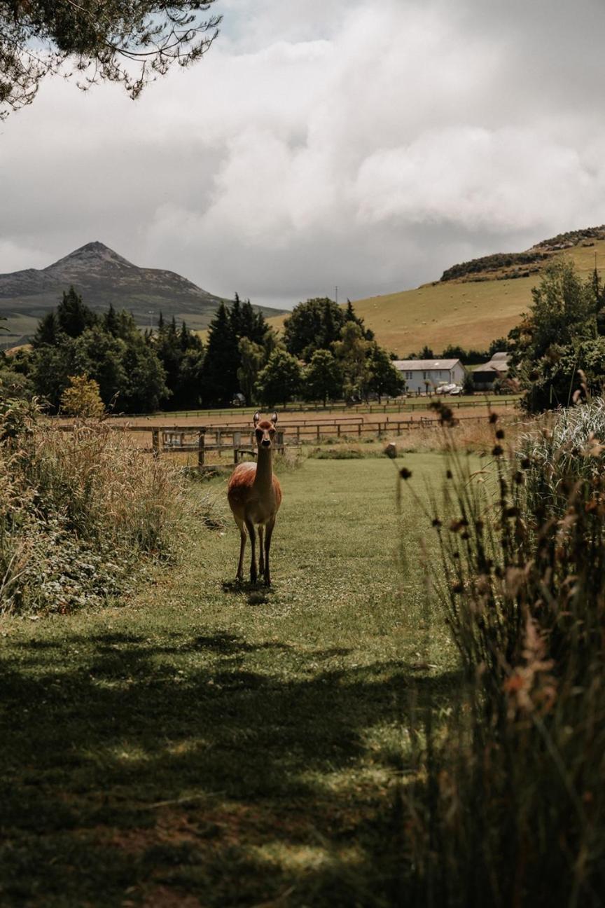 Powerscourt Springs Health Farm Wicklow Exterior foto